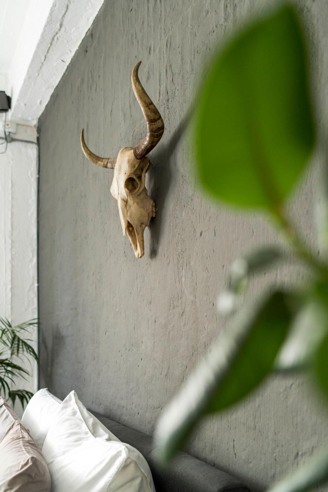 Urban Fox Penthouse By Curiocity Johannesburg Exterior foto